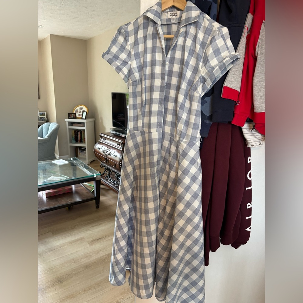 Unique Vintage Blue and White Buttoned Gingham Midi